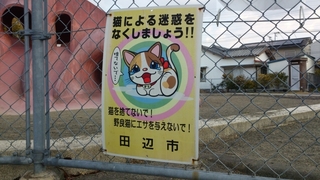 DSC_2.jpg
